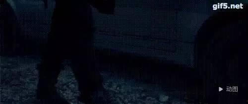 无毒国产A视频,探索无毒国产A视频的魅力与价值