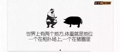 外国产妇搞笑文案视频,育儿路上的欢乐点滴