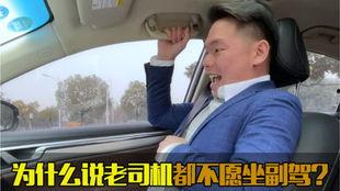 国产七哥撩车视频,尽享速度与激情